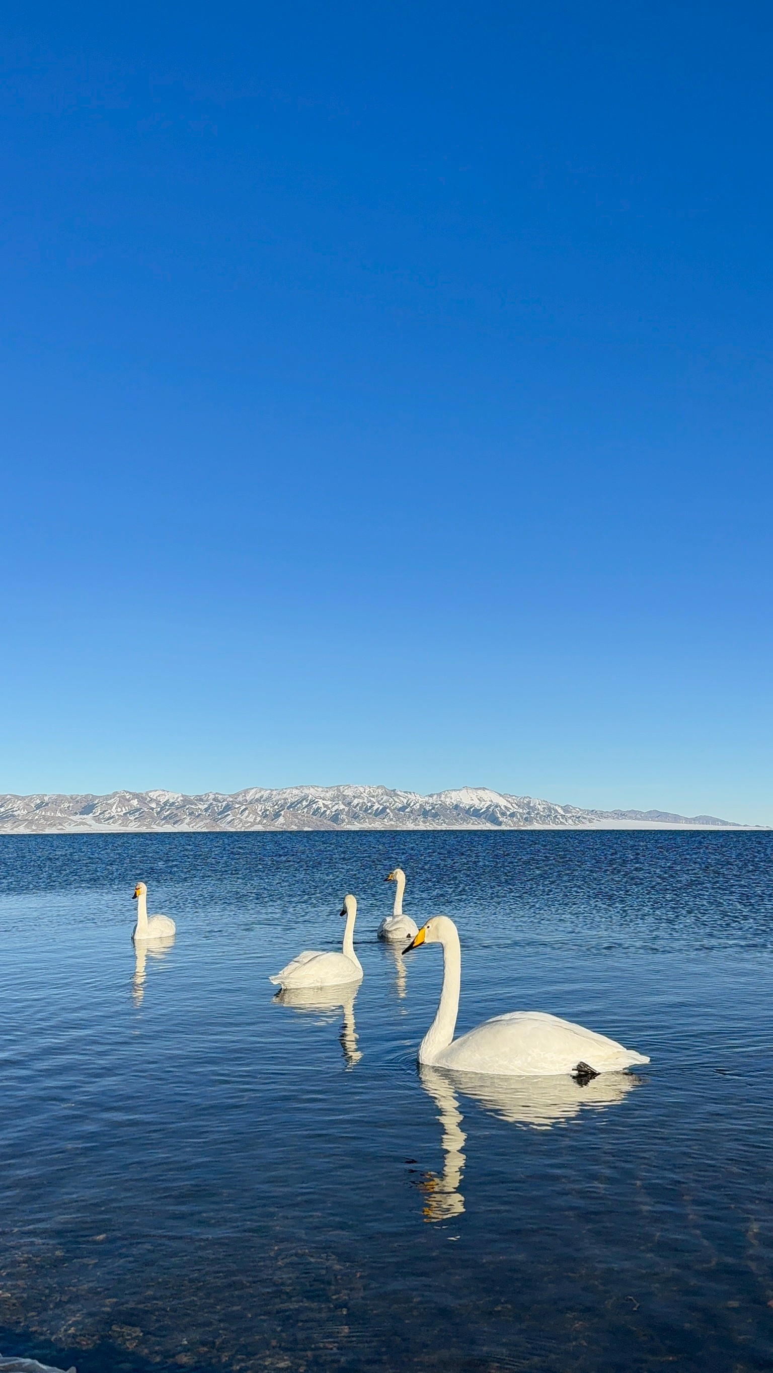 ไซหลี่มู่… ดินแดนที่ความสวยไม่ได้เกิดจากโชค แต่เกิดจาก “เวลา”