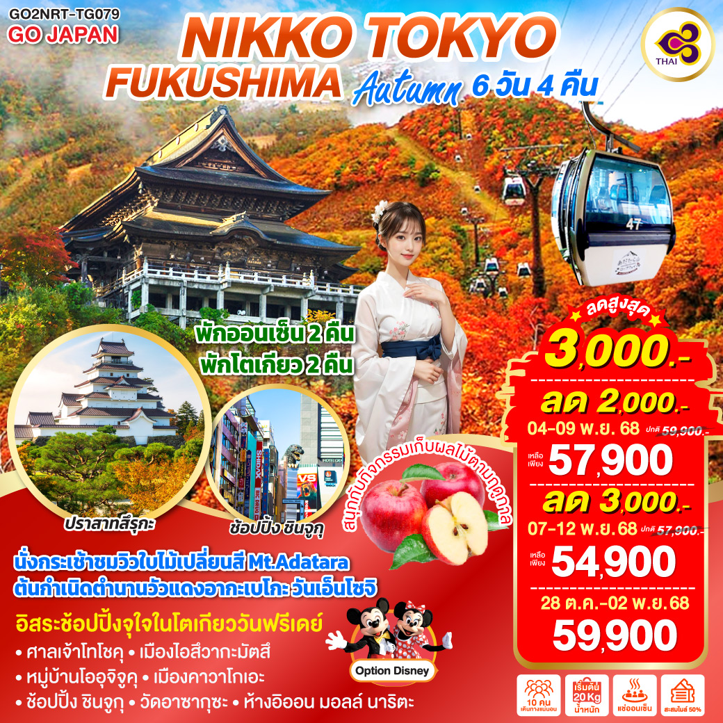 ทัวร์ญี่ปุ่น  NIKKO TOKYO FUKUSHIMA AUTUMN 6วัน 4คืน (TG)