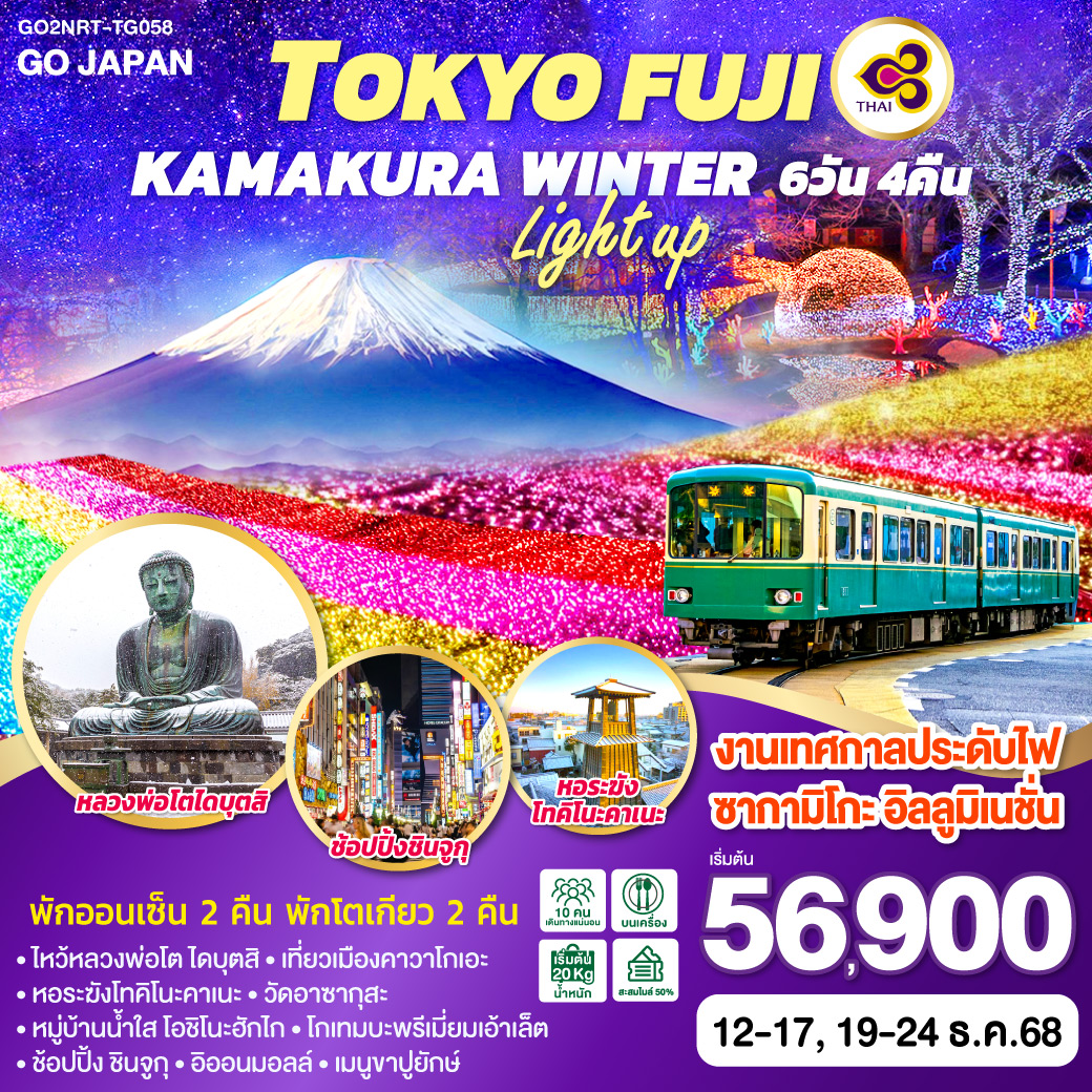 ทัวร์ญี่ปุ่น  TOKYO FUJI KAMAKURA WINTER LIGHT UP 6วัน 4คืน  (TG)